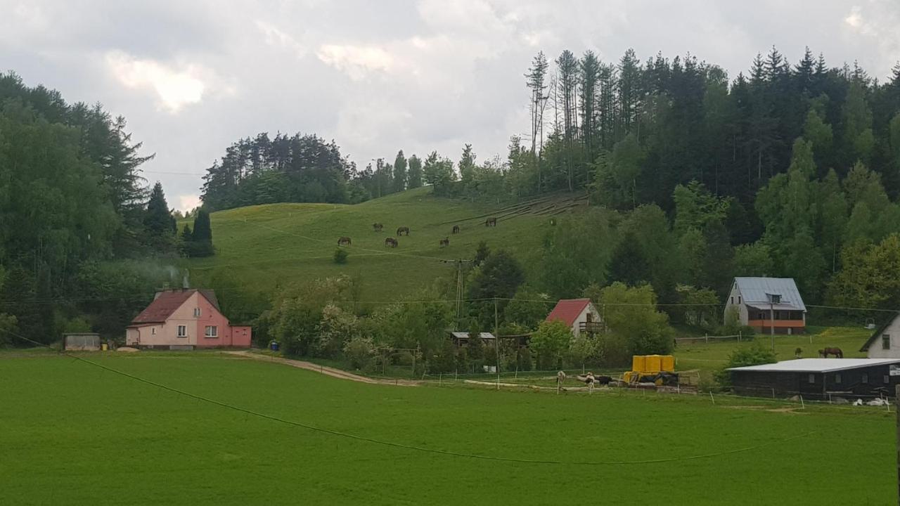 Przystanek Patulskie Pierszczewo エクステリア 写真